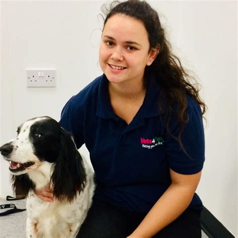 Vets4Pets Penzance .